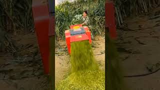 Grass cutting process Good skills and tools increase work efficiency shortsfeed tools machine [upl. by Ardnekat]