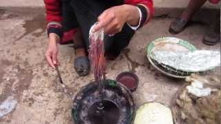 Cochinea Red Dye  The Use of Cochineal Beetles as Natural Fabric Dye in Chinchero Peru [upl. by Kuhn966]