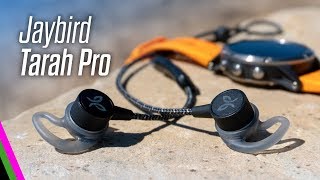 Jaybird Tarah Pro Premium Sport Headphones Review vs X4 [upl. by Thgiwed602]