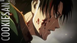 Cookiesan  Capo Livai AMV Shingeki no Kyojin [upl. by Gladys]