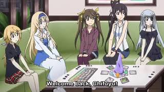 Infinite Stratos  They sound like a married couple [upl. by Gnouhk634]