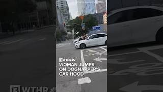 Dog owner jumps on dognapper’s car trying to escape [upl. by Ahsinrev]