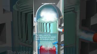 BWR Nuclear Power Plant  How it works [upl. by Roby227]