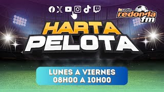 EN VIVO  HARTA PELOTA  10 DE DICIEMBRE 2024 🟠 [upl. by Sheng]