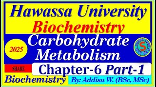 carbohydrates metabolism part1 interview exam digestion biochemistry 2024 [upl. by Anire]