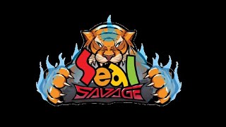 ROAD TO COMMANDER  di Seal Savage 44 [upl. by Aihseken]