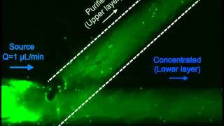 Outofplane ion concentration polarization for scalable water desalination [upl. by Sharpe]