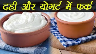 Curd And Yogurt Heres the difference  दही और योगर्ट में ये है फर्क  Boldsky [upl. by Wera]