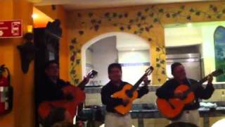 Mexican Hat Dance  Mariachi Band [upl. by Voe313]