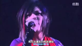 Pikoピコ  桜音Live銀魂週年精選 [upl. by Notsehc]