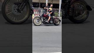 Harley Softail Customized softail harley custom [upl. by Namielus]