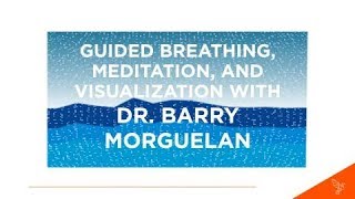 Guided Breathing Meditation and Visualization with Dr Barry Morguelan [upl. by Romeyn738]