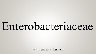 How To Say Enterobacteriaceae [upl. by Weathers112]