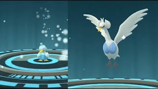 DUCKLETT evolves into SWANNA in Pokemon GO  Trainer Ari [upl. by Asina]