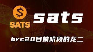 sats：BRC20目前阶段的龙二【第36期】 [upl. by Aleuqahs508]