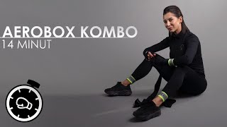 AeroBox Kombo  Trening Ogólnorozwojowy z Elementami Sztuk Walki [upl. by Neukam]