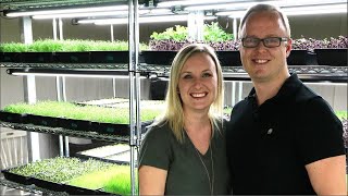 10000 a Month Growing Microgreens in a Basement [upl. by Jacqueline861]