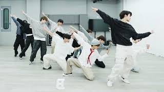 THE BOYZ  ‘Nectar’ Dance Practice Mirrored 4K [upl. by Iht831]