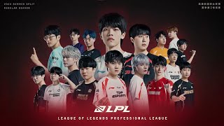 NIP vs LNG  LPL SUMMER SPLIT 2024 [upl. by Nnave]