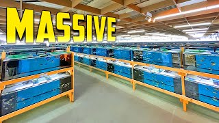 Most Amazing African Cichlid Facility in the World [upl. by Gibbon436]