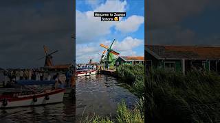 The beautiful windmills in 📍Zaanse Schans 😍 zaanseschans travel shorts netherlands windmills [upl. by Lyndsay]