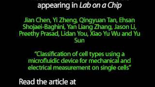 Classification cell types microfluidic device mechanical amp electrical measurement on single cells [upl. by Tannie]