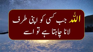 Best Islamic Quotes About ALLAH and His Mercy Part  ALLAH Quotes in Urdu  Quotes Diary 06 [upl. by As]