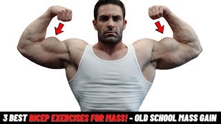 3 Best Bicep Exercises For Mass  Old School Mass Gain [upl. by Lord959]