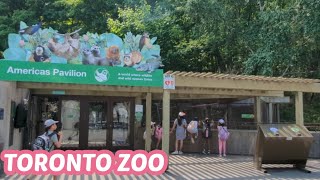 Toronto Zoo 2024  A Walk Through The Largest Zoo in Canada [upl. by Esined]