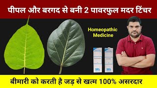 Homeopathic mother tincture made from peepal and banyan leaves [upl. by Guyon]