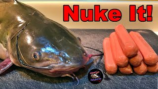 MICROWAVE Hot Dogs for Tougher Catfish Bait [upl. by Ntisuj]