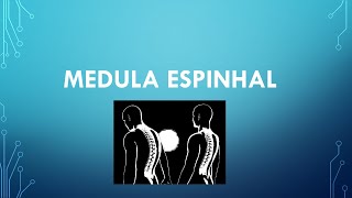 MEDULA ESPINHAL [upl. by Emerick]