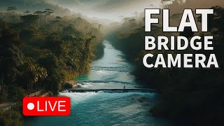 🟢 LIVE 247 Flat Bridge Jamaica  Iconic Rio Cobre Landmark [upl. by Mayfield]