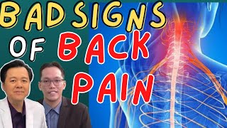 Bad Signs of Back Pain Possible Cancer or Tuberculosis  by Dr Jeffrey Montes and Doc Willie Ong [upl. by Hcelemile]