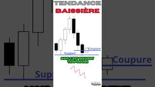 Maîtrisez le trading  les supports analyses et conseils pour réussir sur les marchés financiers [upl. by Dahs869]