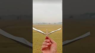 How to make paper flying bird 🕊️ in very easy shortsfeed [upl. by Noloc765]