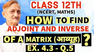 L 07  CLASS 12TH  MATRIX Ka Adjoint And Inverse Kaise Nikale  Adjoint And Inverse Of Matrix [upl. by Naanac54]