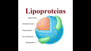 Lipoproteins structure and functions  2024 [upl. by Zinah]