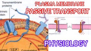 Plasma membrane🫠 passive transport process [upl. by Liv63]