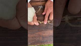 How did the Victorians waterproof wooden ships chalkehistoryfestival [upl. by Mcafee]