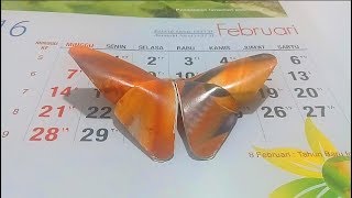 3 IDE DARI KALENDER BEKAS  VIDEO KREATIF [upl. by Laubin822]