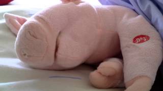 Piggy bedtime snoring toy [upl. by Arbba]