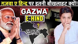 ग़ज़वा ए हिन्द क्या है  Reality of GazwaeHind  Islamic Conquest of India [upl. by Hakilam903]