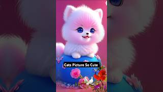 Noor Wala Aaya Hai Say Mash Allah Cats Picture Cat Naat Islamic Ringtone Status Shorts Billi Videos [upl. by Lodie]