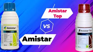 Syngenta Amistar Top Vs Amistar FungicidesSyngenta Best Fungicide [upl. by Llebyram]