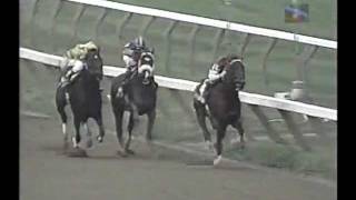 Saratoga  Travers Day 1996  Full Race Card [upl. by Ocirnor]