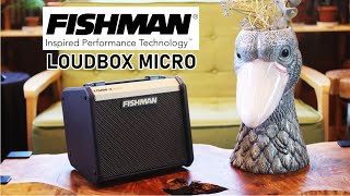 FISHMAN LOUDBOX MICRO【ギター？ウクレレ？何でも来いの小型アンプ！】 [upl. by Sanborn95]