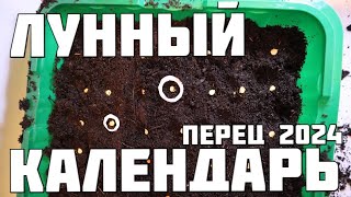 Лунный календарь на посев перца сладкого в 2024 году Лучшие даты для большого урожая [upl. by Larcher]