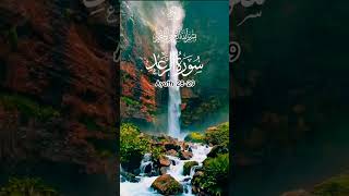 Surah Raad Ayath 2829 translation tarjuma viralvideos ytshorts quran shortvideosquotes Allah [upl. by Xymenes]