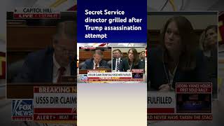 Lawmaker to Secret Service director You are a DEI horror story [upl. by Adnohsor]